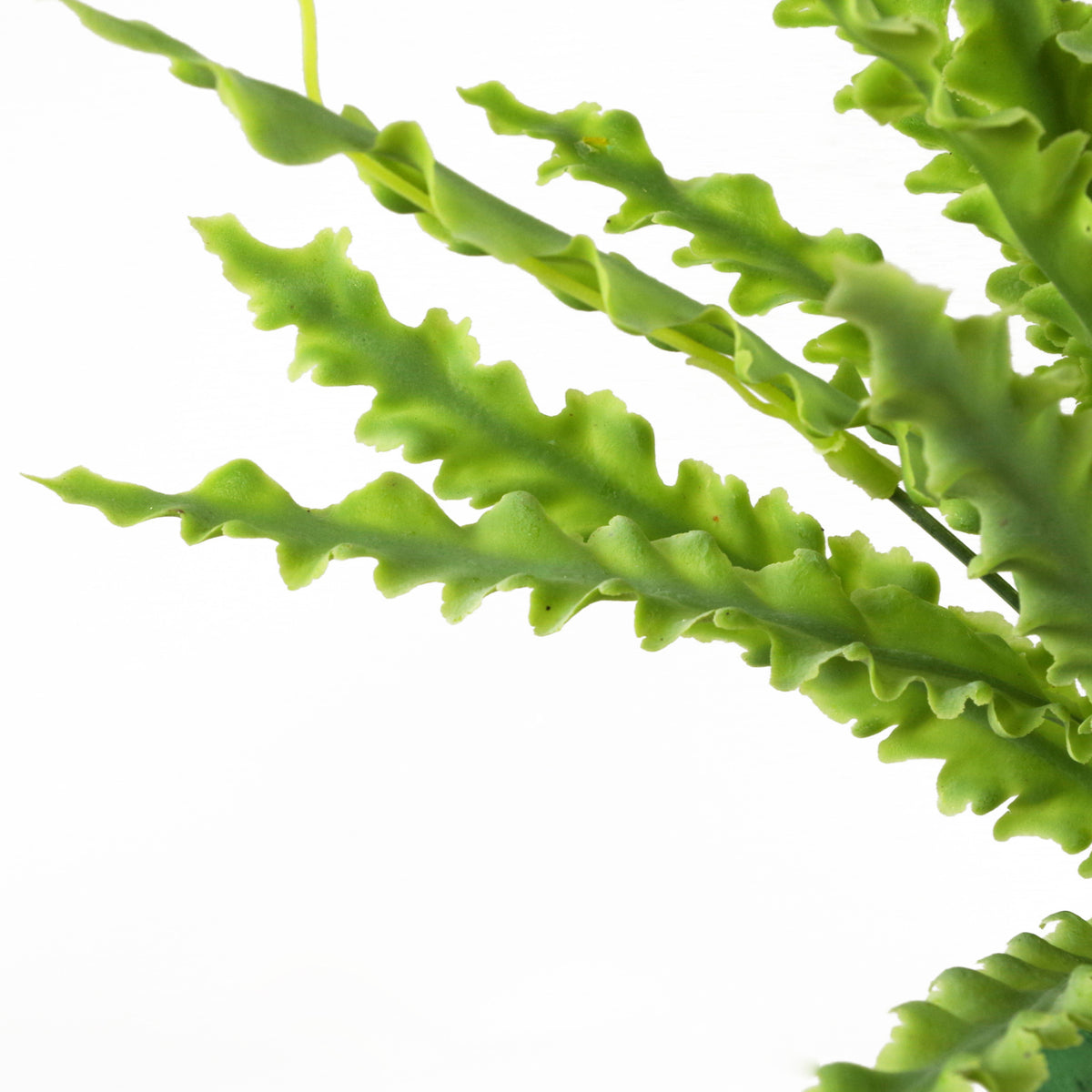 40cm Artificial Crocodile Fern Plant – image 7