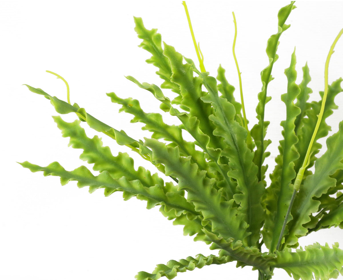 40cm Artificial Crocodile Fern Plant – image 5
