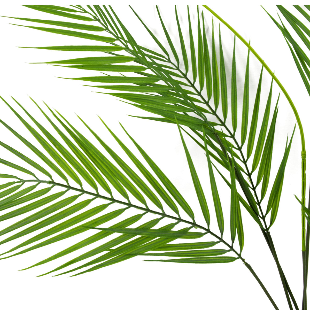 75cm Artificial Palm Tree - Unpotted 6 Leaves – image 2