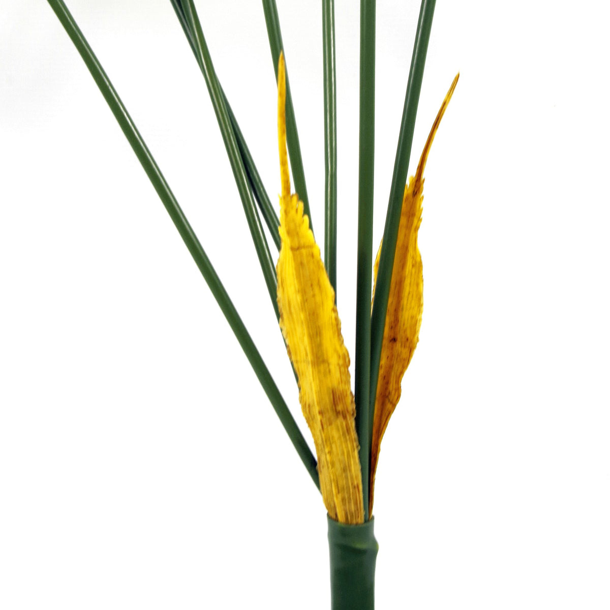 75cm Artificial Palm Tree - Unpotted 6 Leaves – image 3