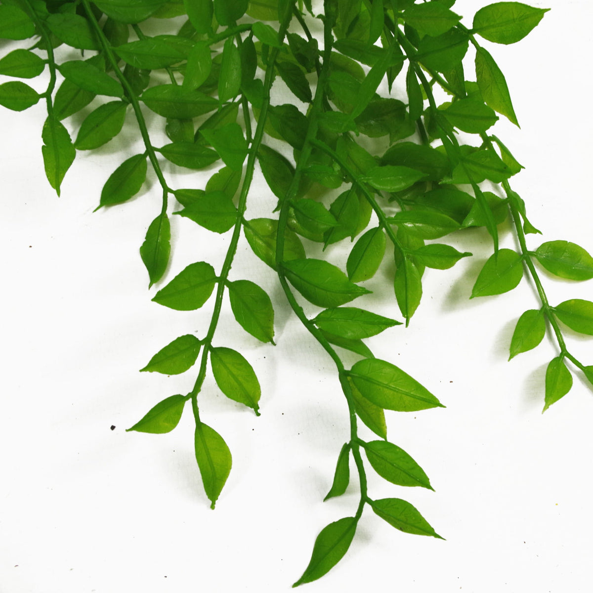 100cm Hanging Artificial String of Pearls Fern Plant Dark Green – image 14