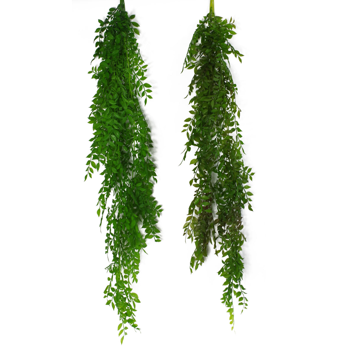 100cm Hanging Artificial String of Pearls Fern Plant Dark Green – image 8