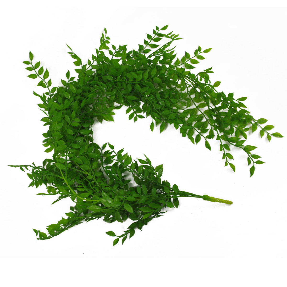 100cm Hanging Artificial String of Pearls Fern Plant Dark Green – image 17