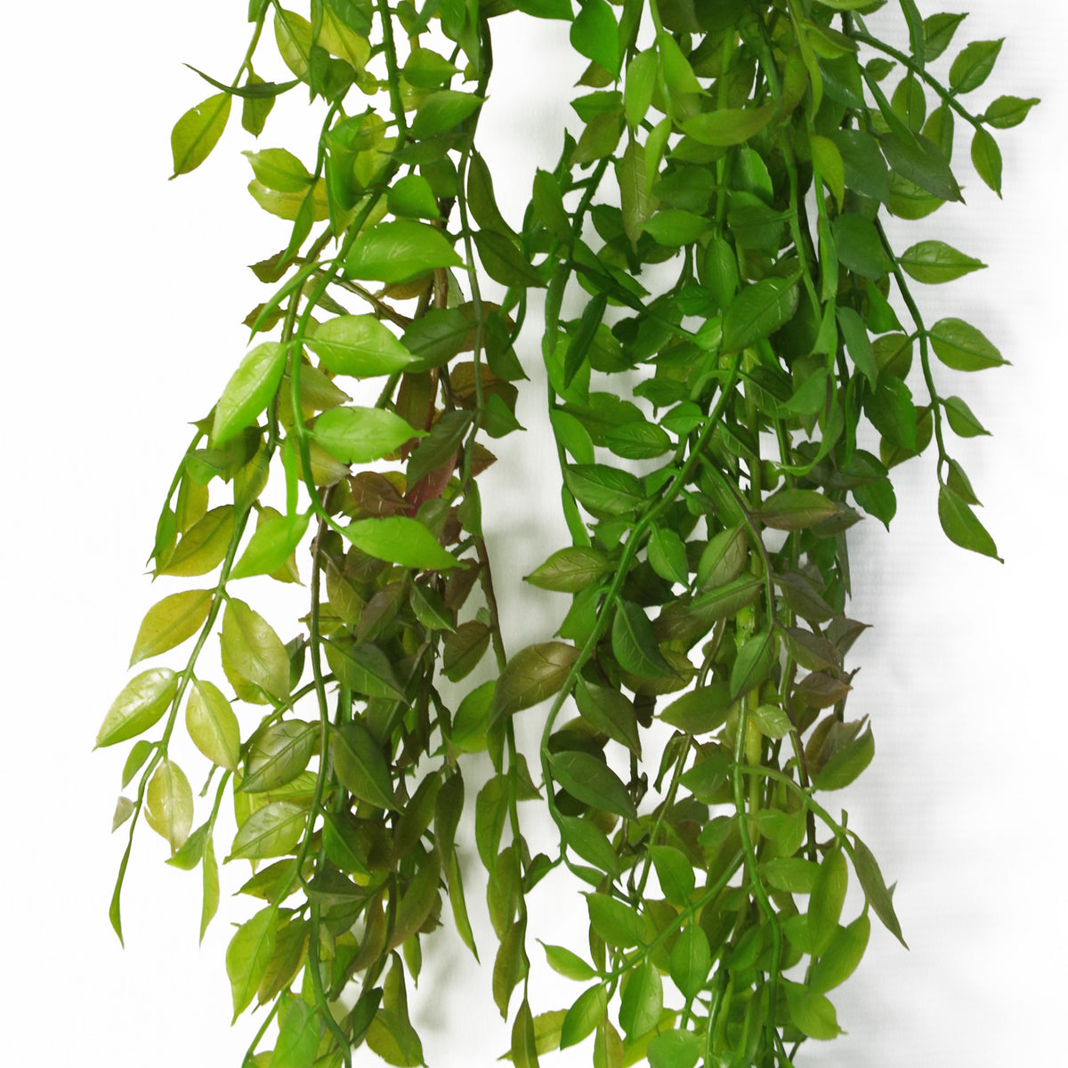 100cm Hanging Artificial String of Pearls Fern Plant Dark Green – image 2