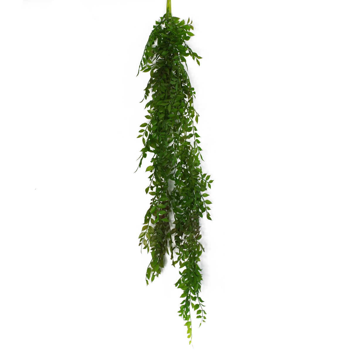 100cm Hanging Artificial String of Pearls Fern Plant Dark Green