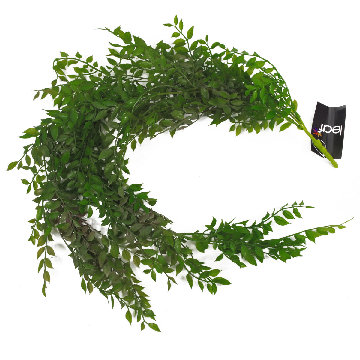 100cm Hanging Artificial String of Pearls Fern Plant Dark Green – image 4