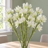 60cm Faux Starflower Stem - 5 Flowers