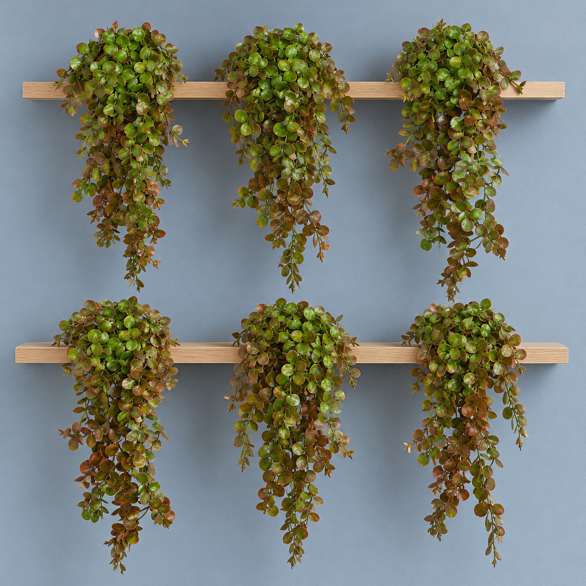 75cm Artificial Trailing Round Leaf Plant - Autumn Green & Bronze