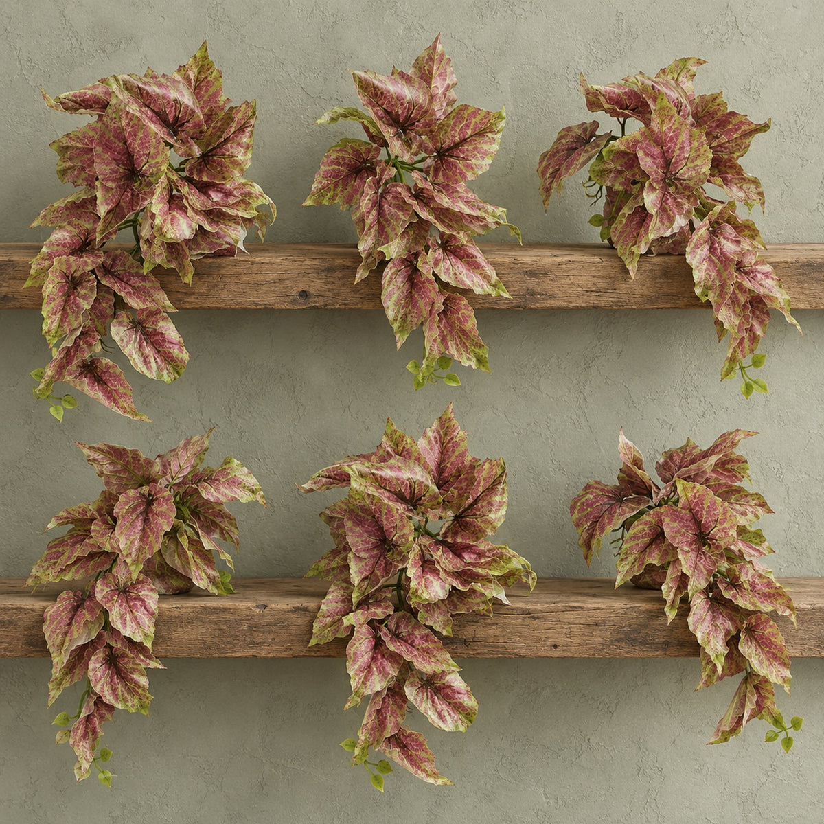 30cm Artificial Trailing Pink and Green Caladium