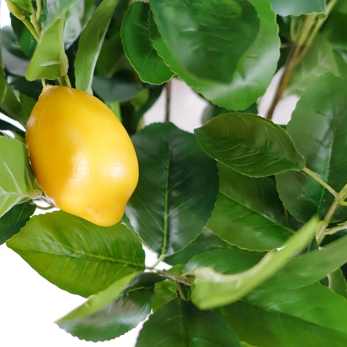 120cm Premium Artificial Lemon Tree – image 5