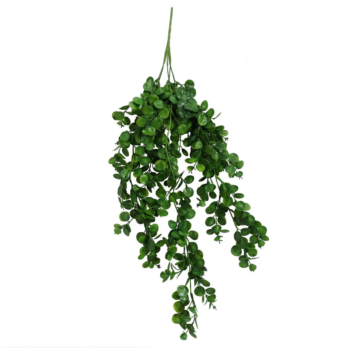 75cm Artificial Trailing Round Leaf Hanging Foliage Plant - Deep Forest Green - Single Plant