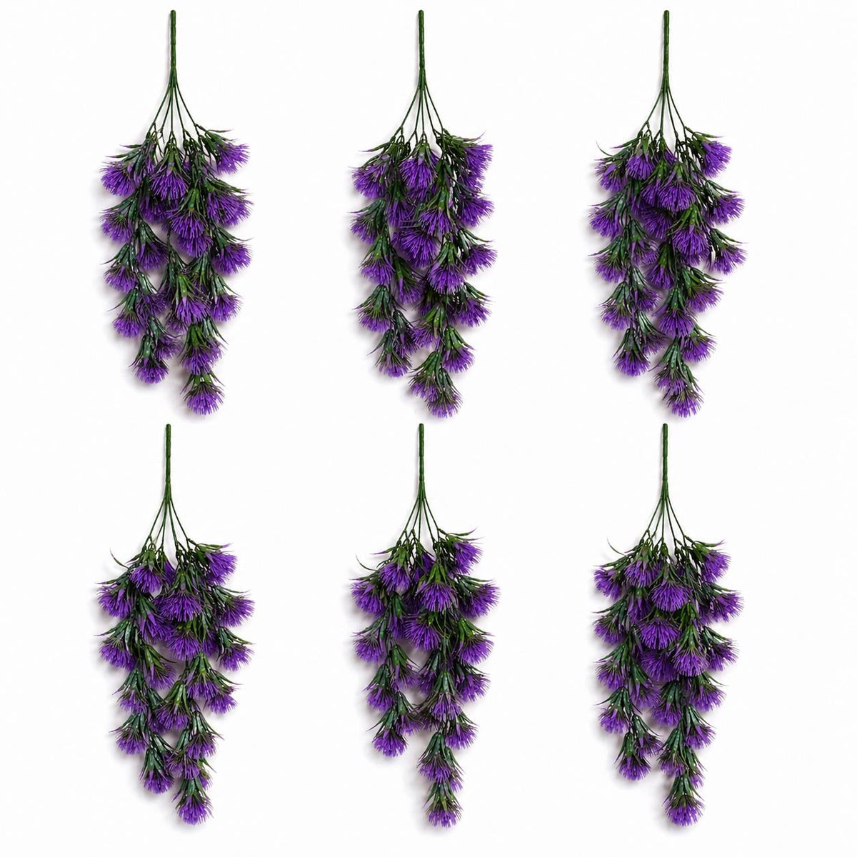 Purple thistle trailing hanging plant - Pack of 6