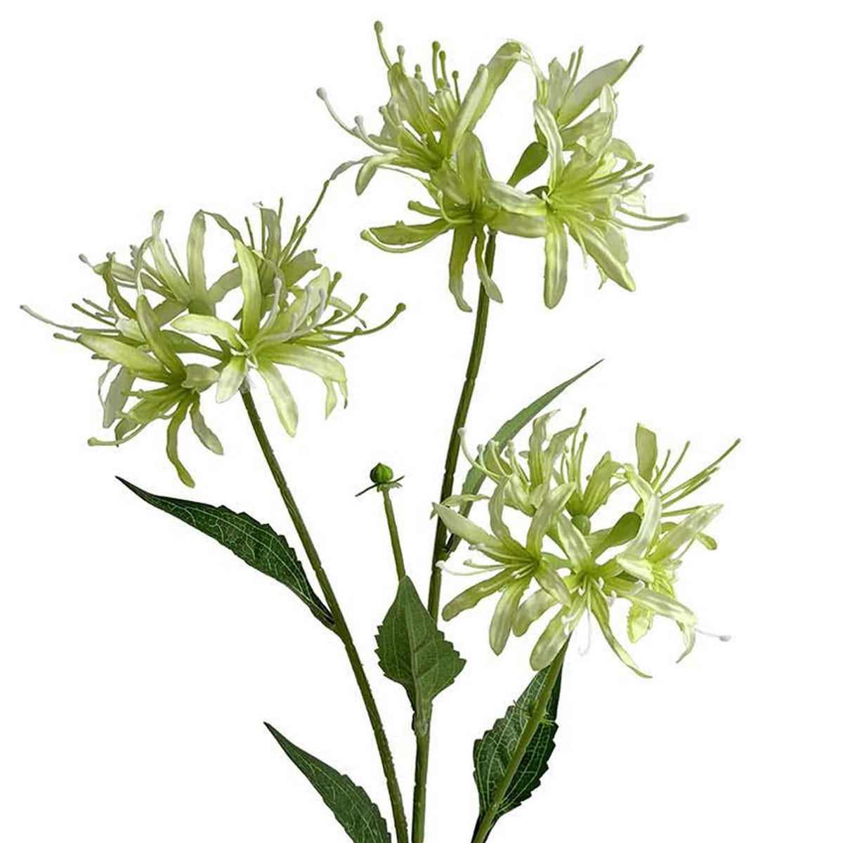72cm Artificial Spider Lily Flower Stem