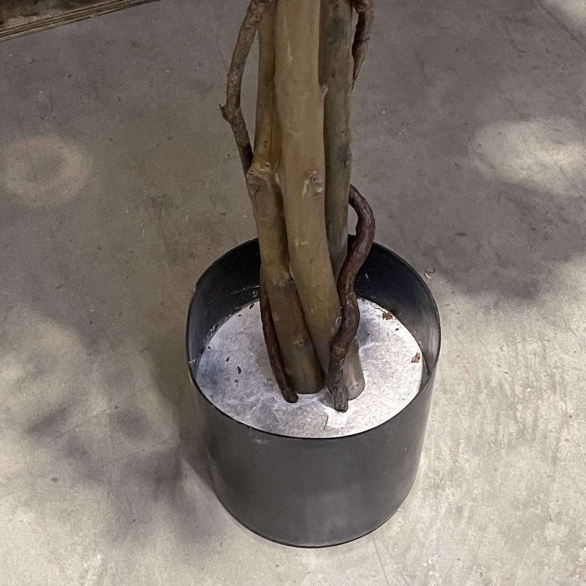 180cm Artificial Fire Retardant Black Olive Tree with 2925 Leaves and Natural Trunk – image 8