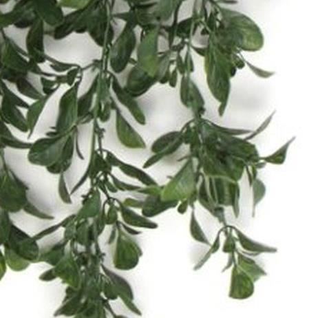 Hanging UV and Fire Resistant Artificial Peperomia Plant 68cm – image 4