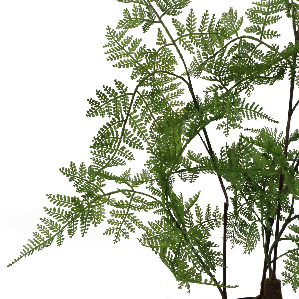 60cm Artificial Natural Moss Base Fern Foliage Plant – image 6
