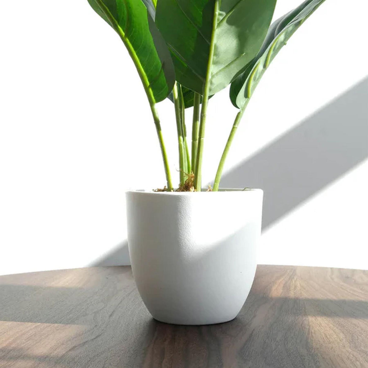 45cm Artificial Aureum Plant – image 12
