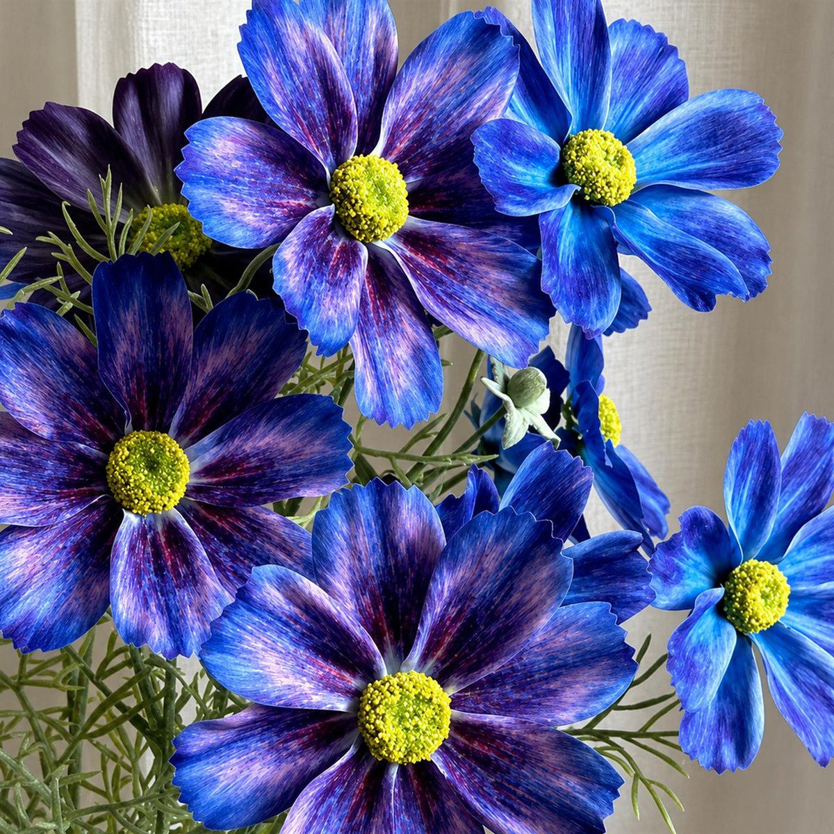 63cm Real Touch Artificial Cosmos Spray