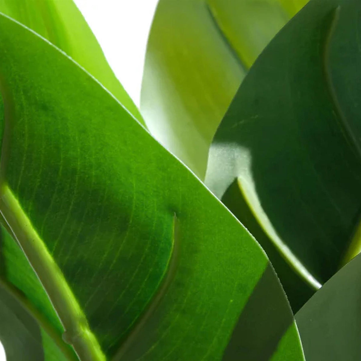 45cm Artificial Aureum Plant – image 11
