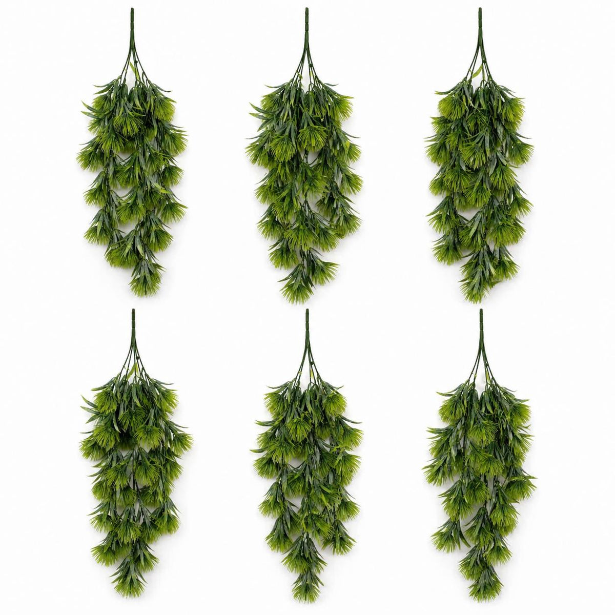 Green thistle trailing hanging plant - Pack of 6