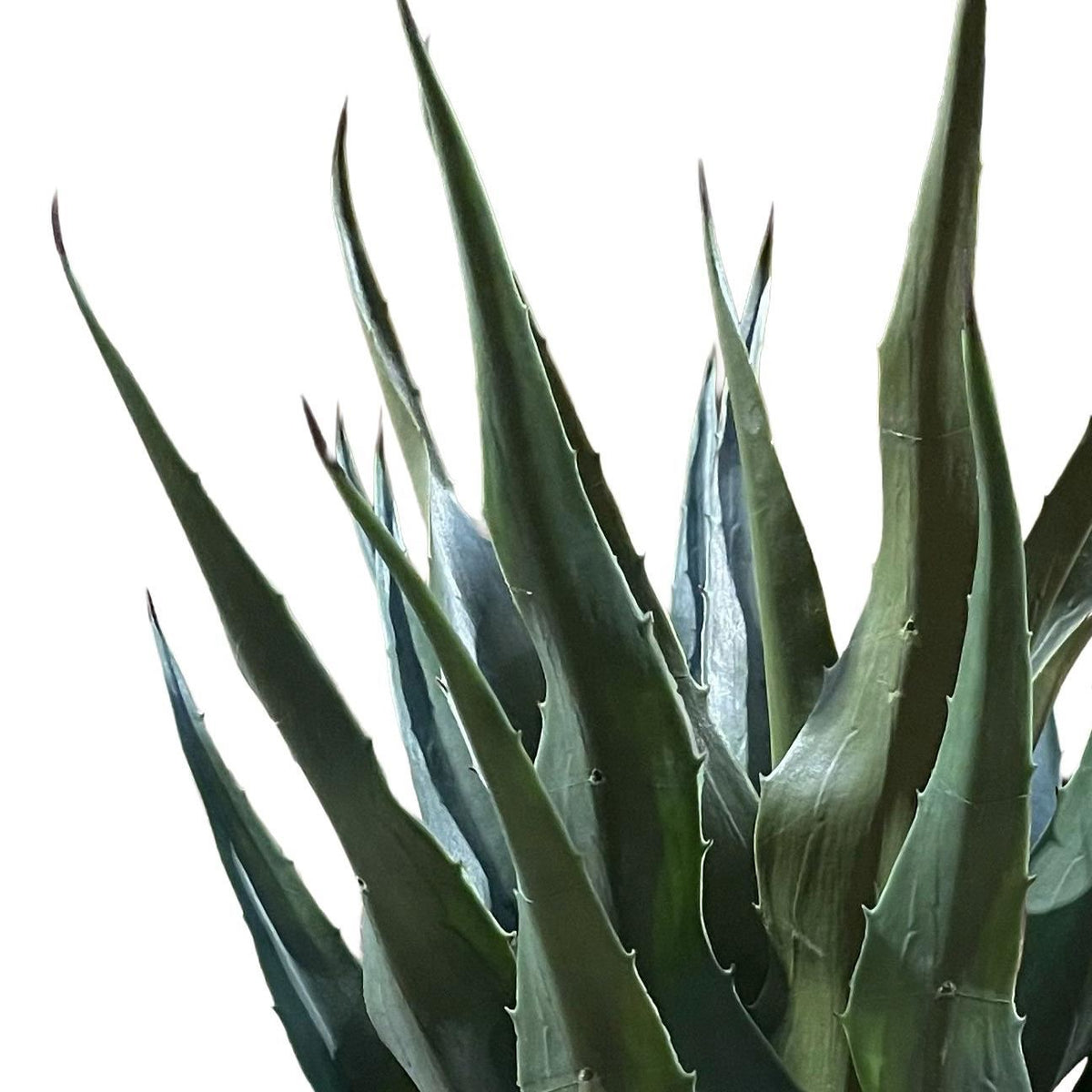 70cm Agave Tropical Yucca Artificial – image 4
