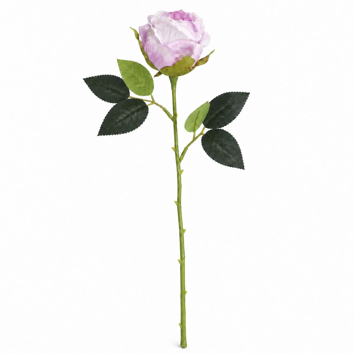 55cm Artificial Rose Stem – image 5