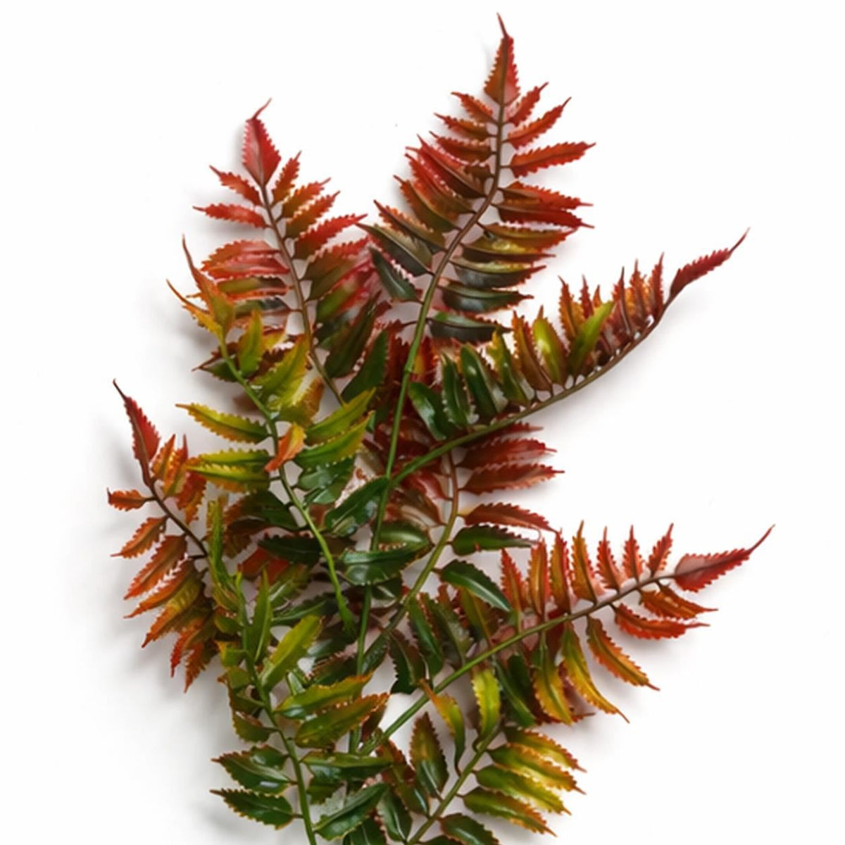 50cm Artificial Fern Spray Stem - Autumn Orange – image 9