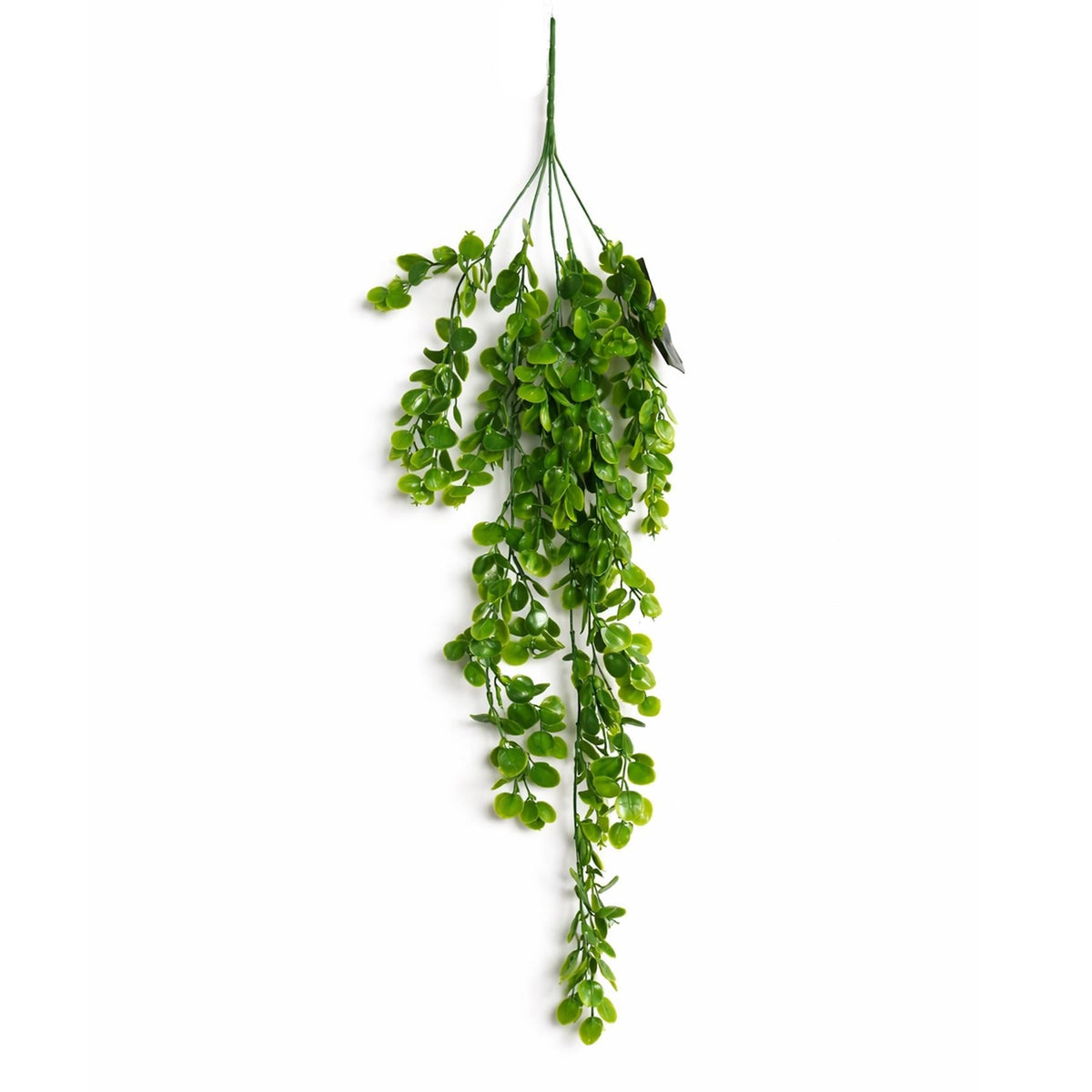 75cm Artificial Trailing Round Leaf Hanging Foliage Plant - Classic Gloss Green – image 8