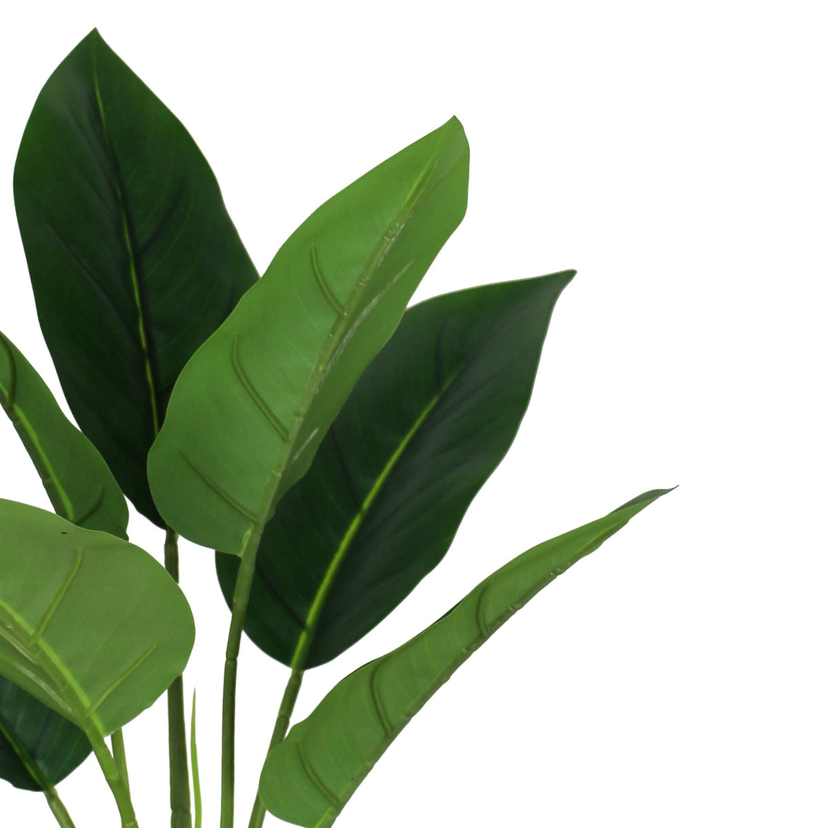 45cm Artificial Aureum Plant – image 9