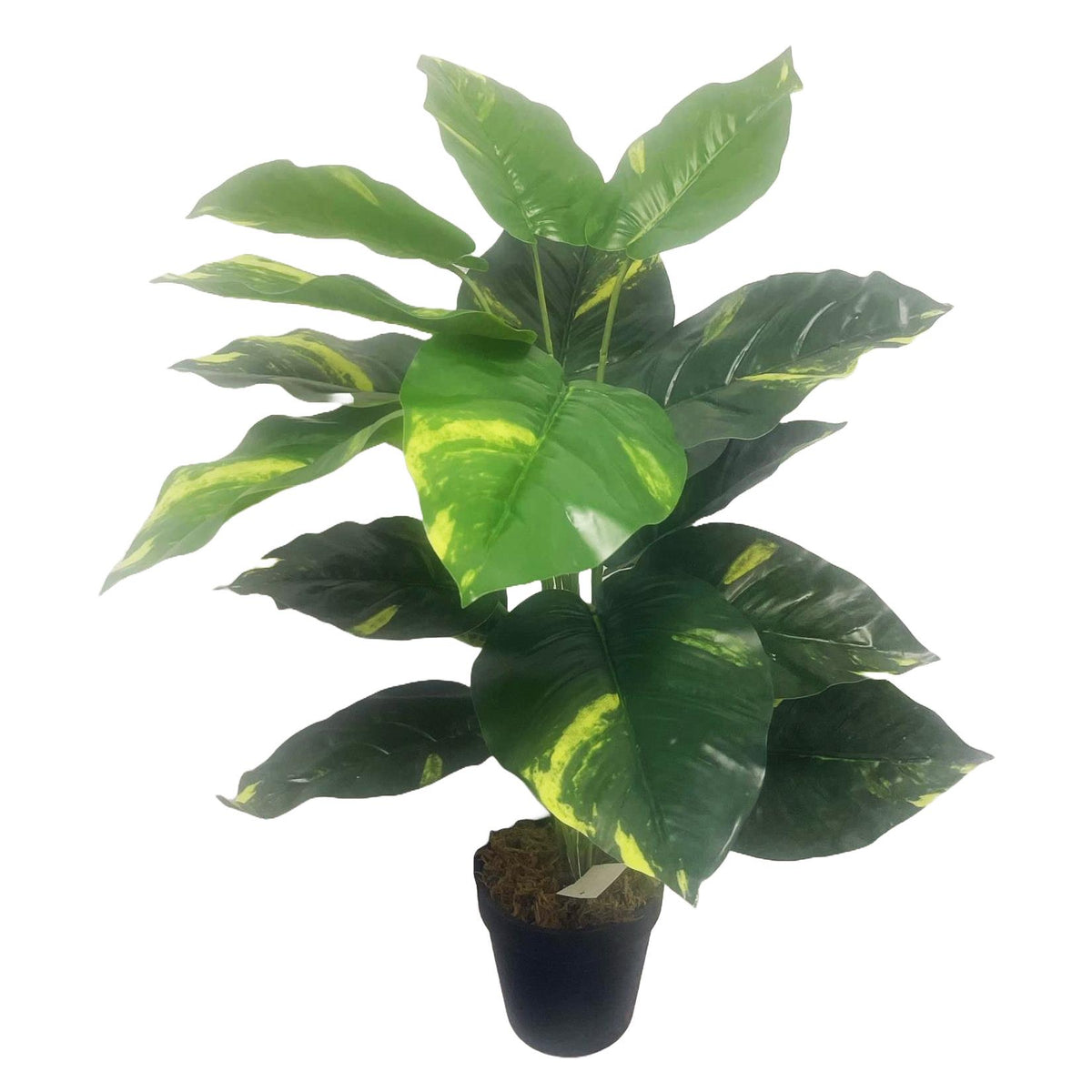 60cm Artificial Devil's Ivy (Scindapsus Aureus) Plant – image 4