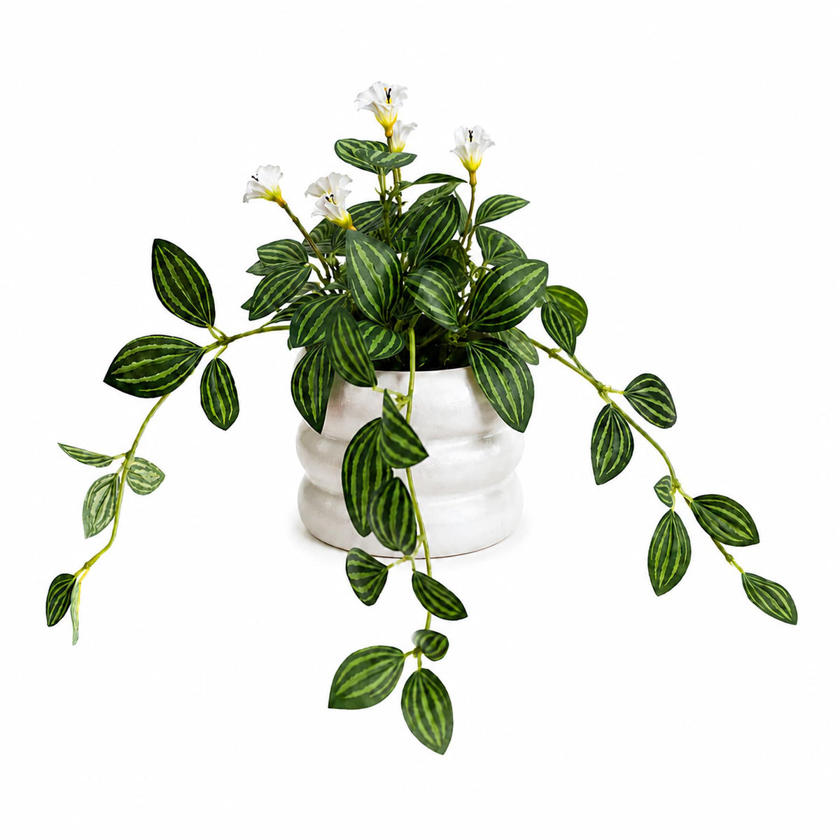 45cm Artificial Trailing Striped Leaf Plant with Flowers in White Pot