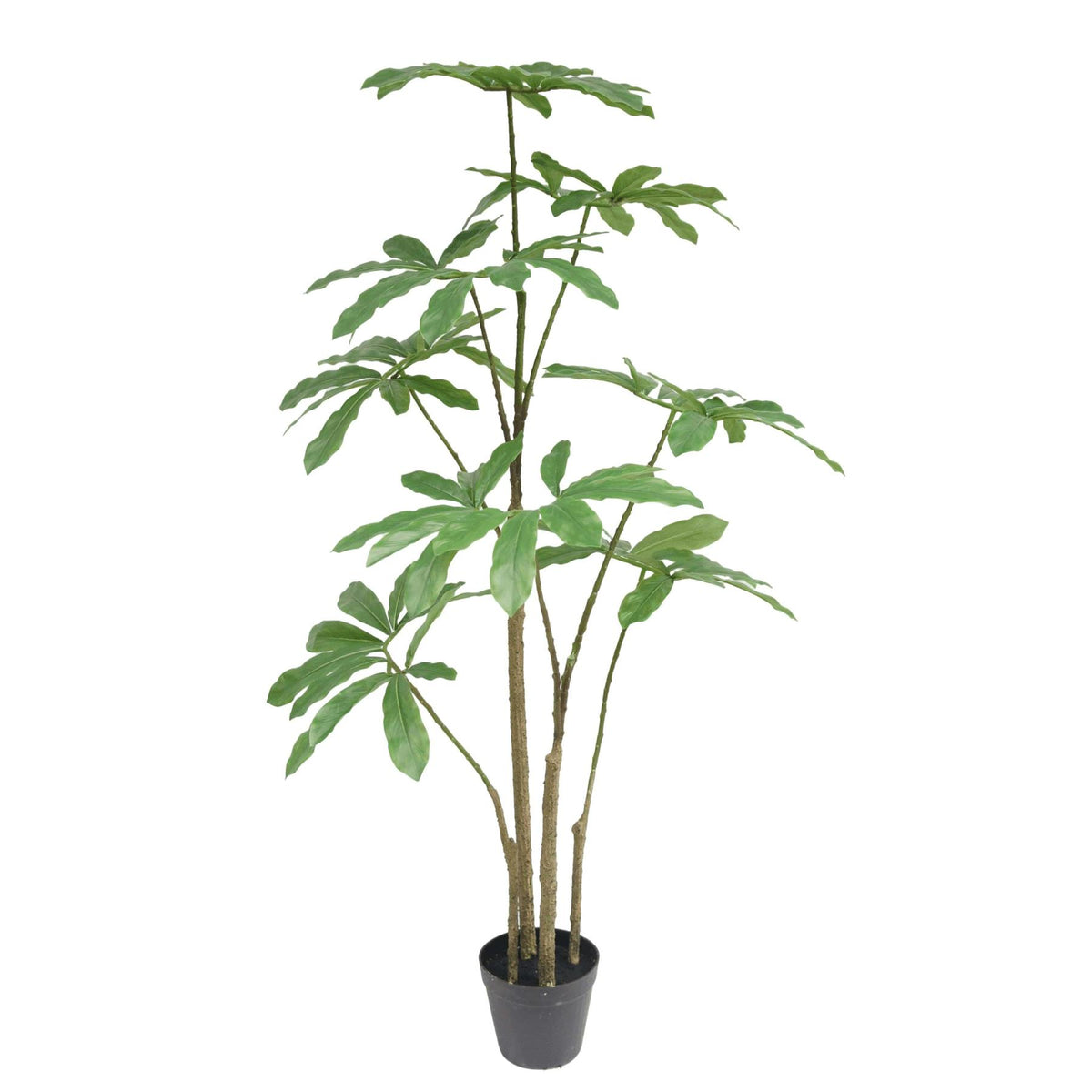 120cm Dwarf Umbrella Realistic Artificial Tree – image 2
