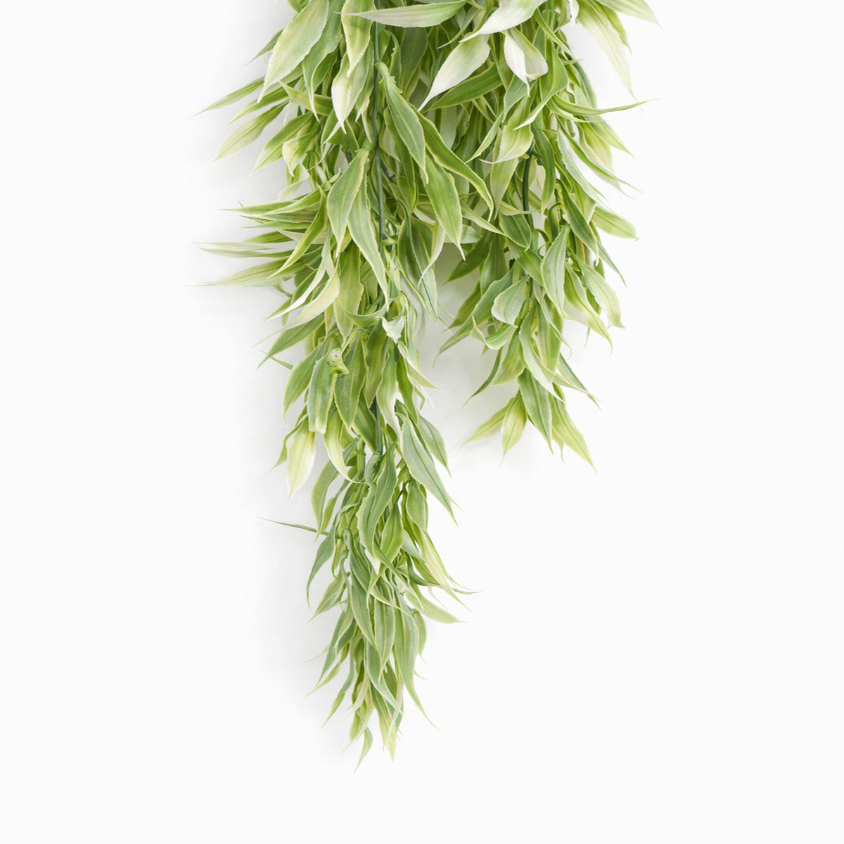 80cm Artificial Italian Ruscus Hanging Plant with Realistic Foliage - Light Green – image 4