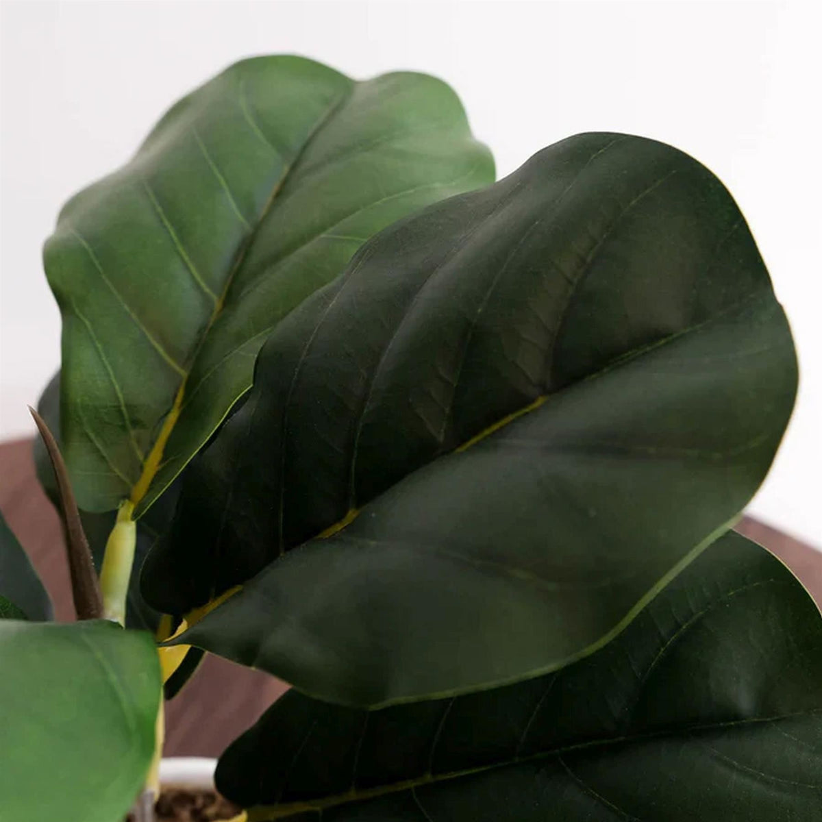 38cm Potted Artificial Fiddle Fig Plant – image 4