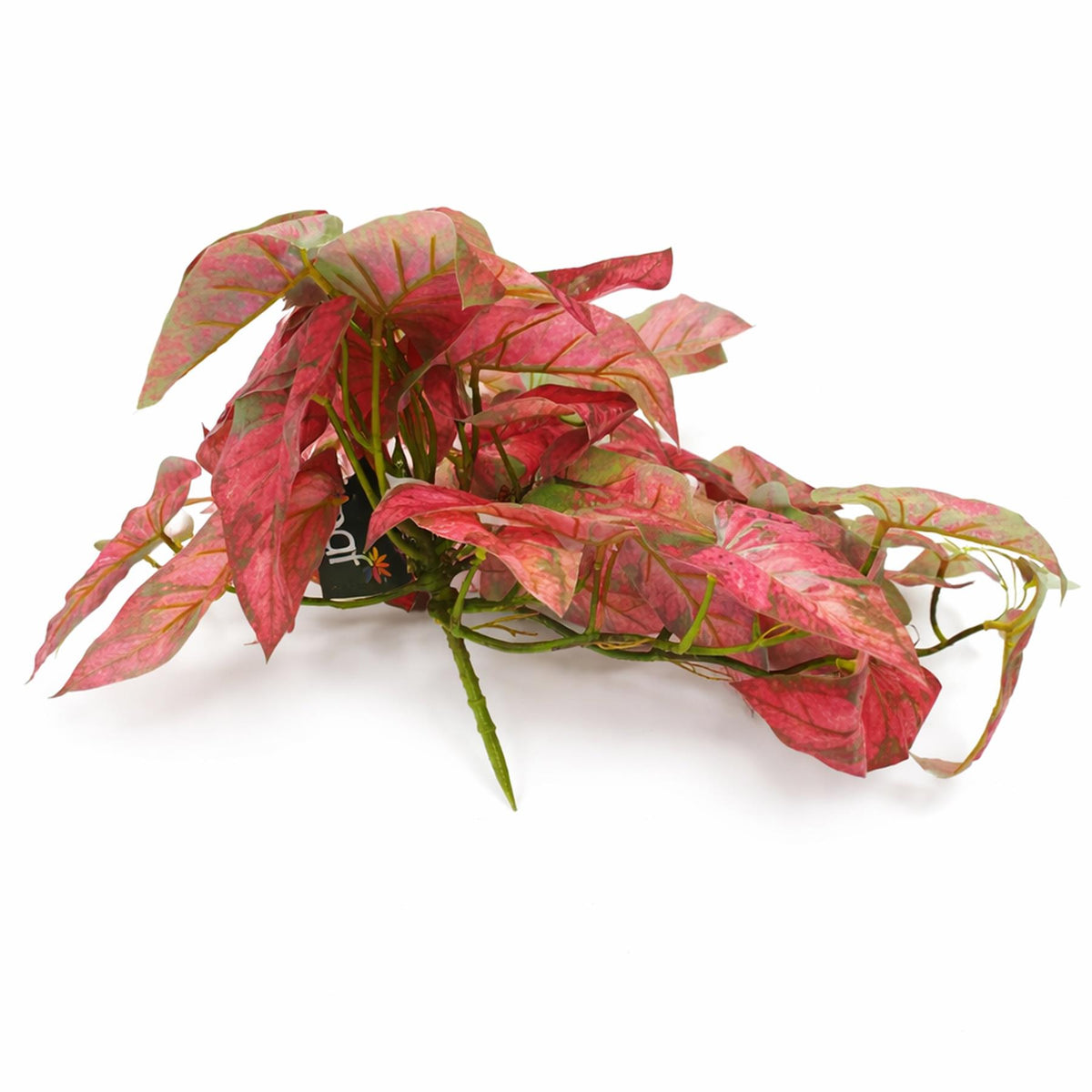 30cm Artificial Trailing Red Caladium – image 3
