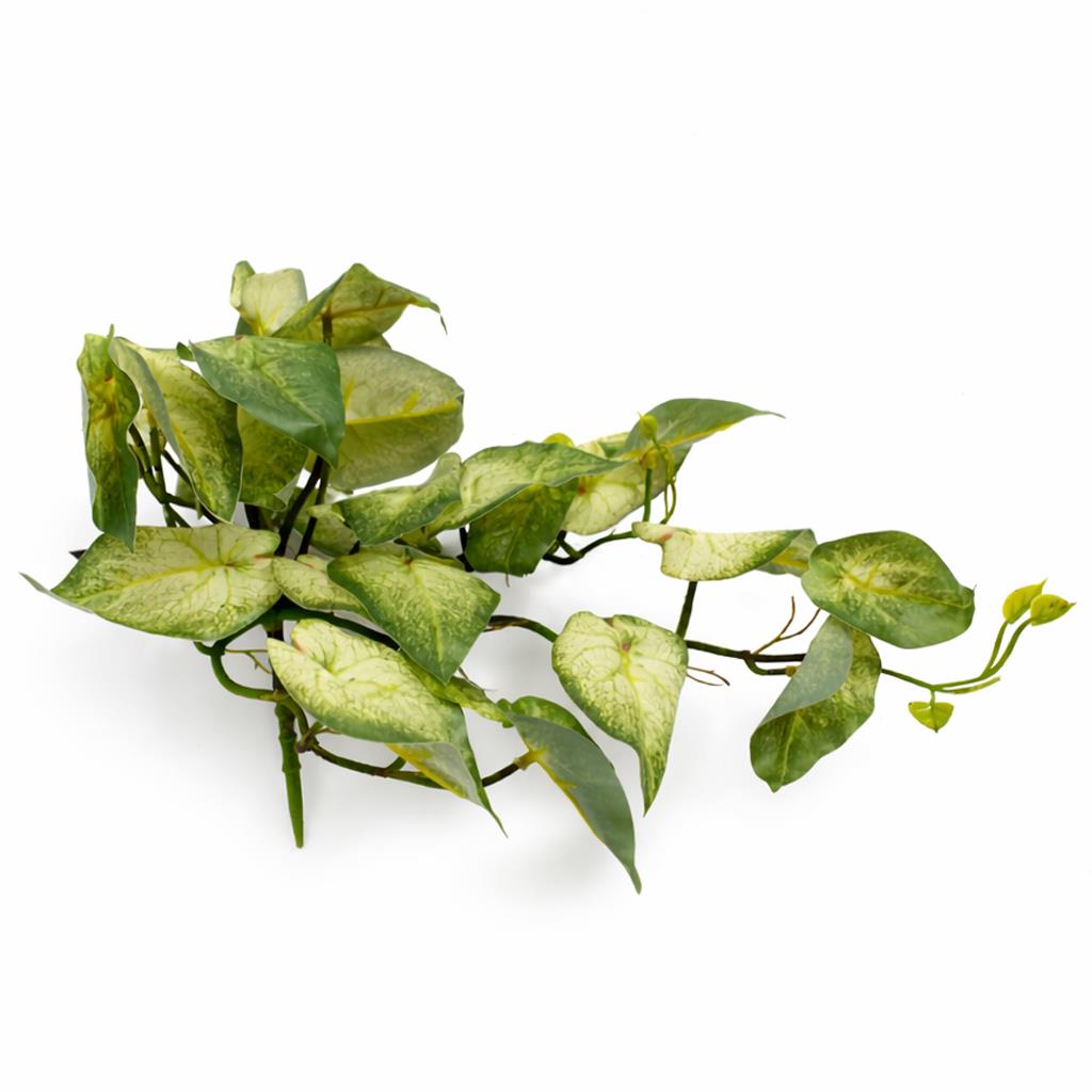25cm Artificial Trailing Variegated Caladium Vine Plant Light Green – image 3