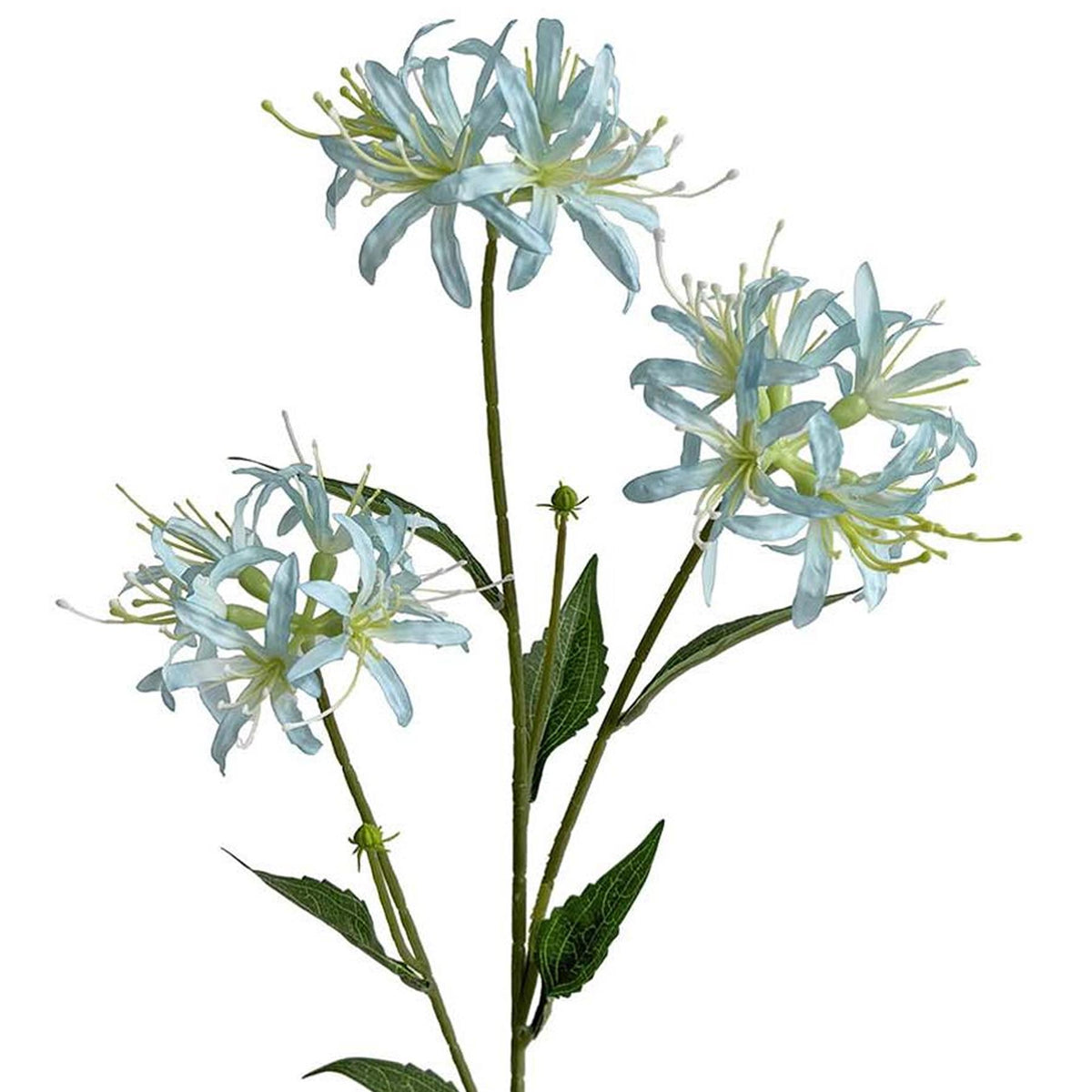 72cm Artificial Spider Lily Flower Stem
