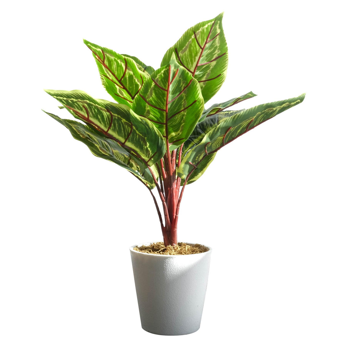 38cm Potted Artificial Calathea Veitchiane Plant – image 2