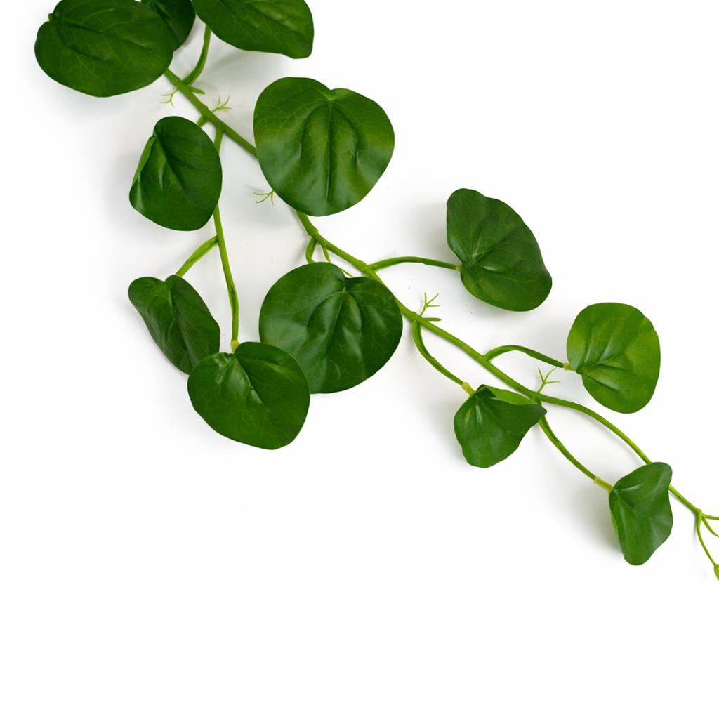 160cm Artificial Round Pilea Leaf Garland Hanging Decoration – image 5