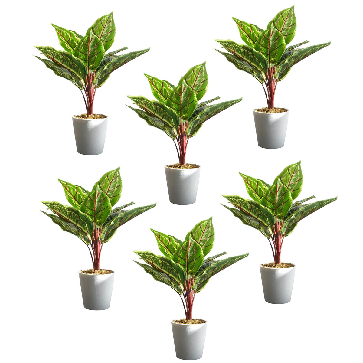 38cm Potted Artificial Calathea Veitchiane Plant – image 10