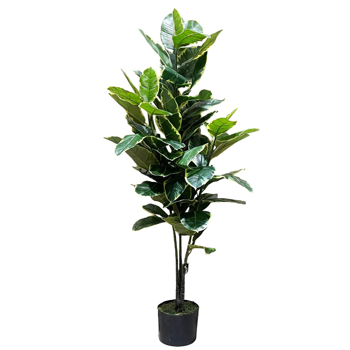 120cm Artificial Rubber Tree – image 2