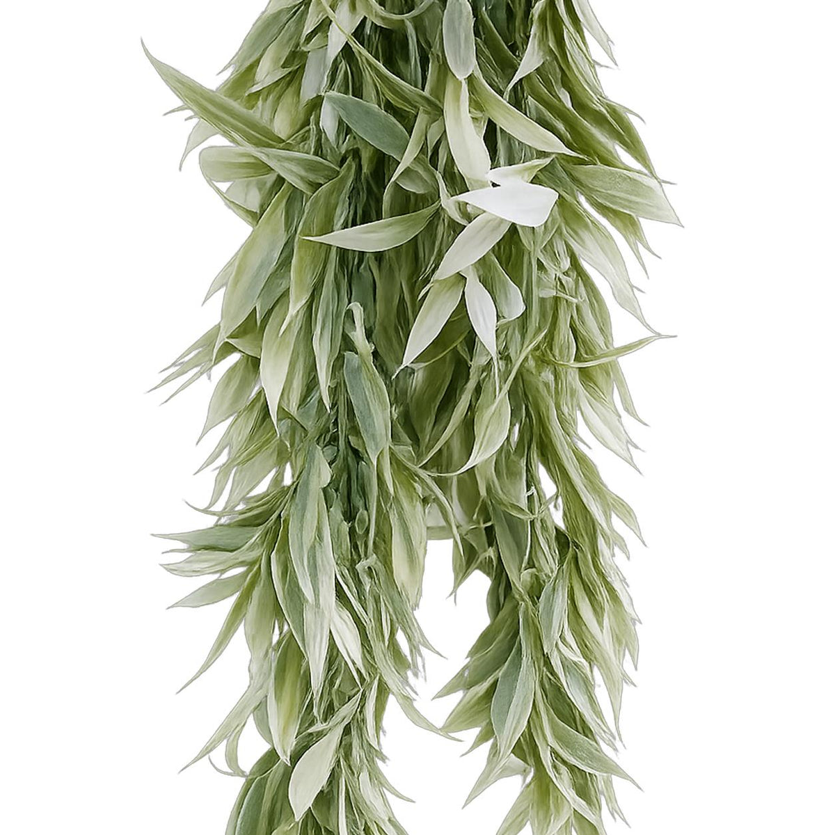 80cm Artificial Italian Ruscus Hanging Plant with Realistic Foliage - Light Green – image 7