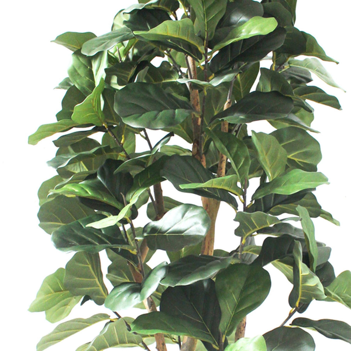 180cm Artificial Fiddle Fig Deluxe Tree – image 4