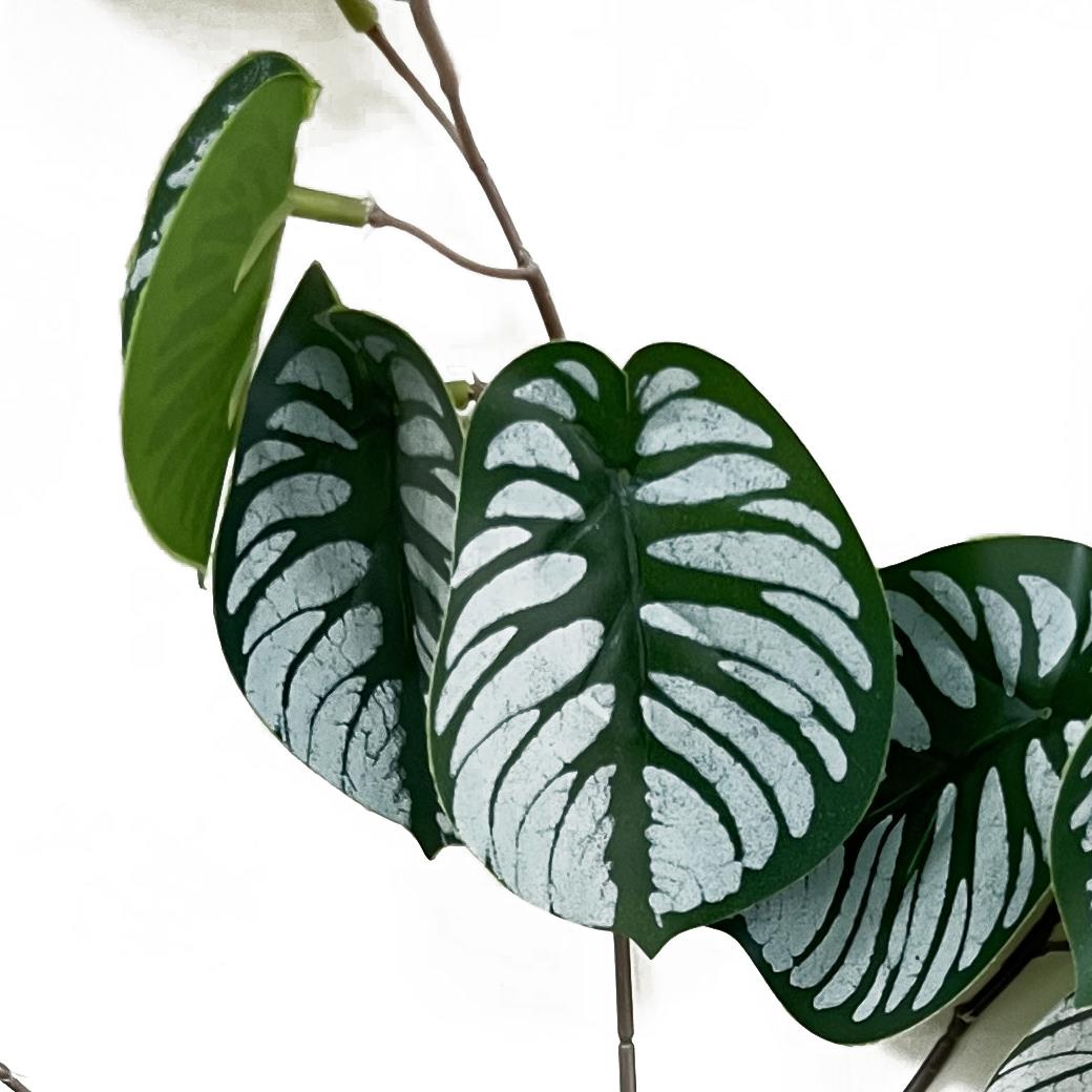 70cm Artificial Zebra Foliage Stem Spray – image 2