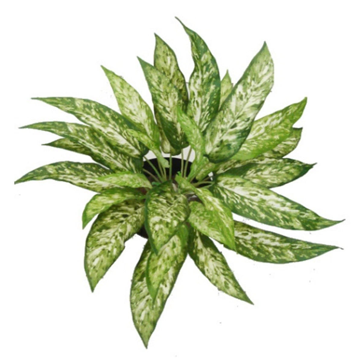 45cm Fire Retardant Artificial Aglaonema Bush – image 3