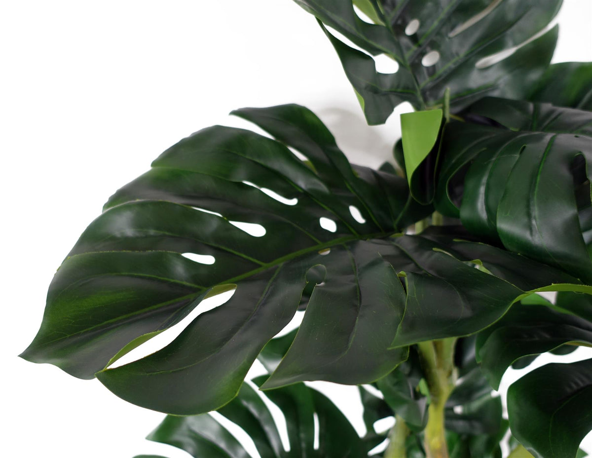 150cm Premium Artificial Monstera Plant – image 5