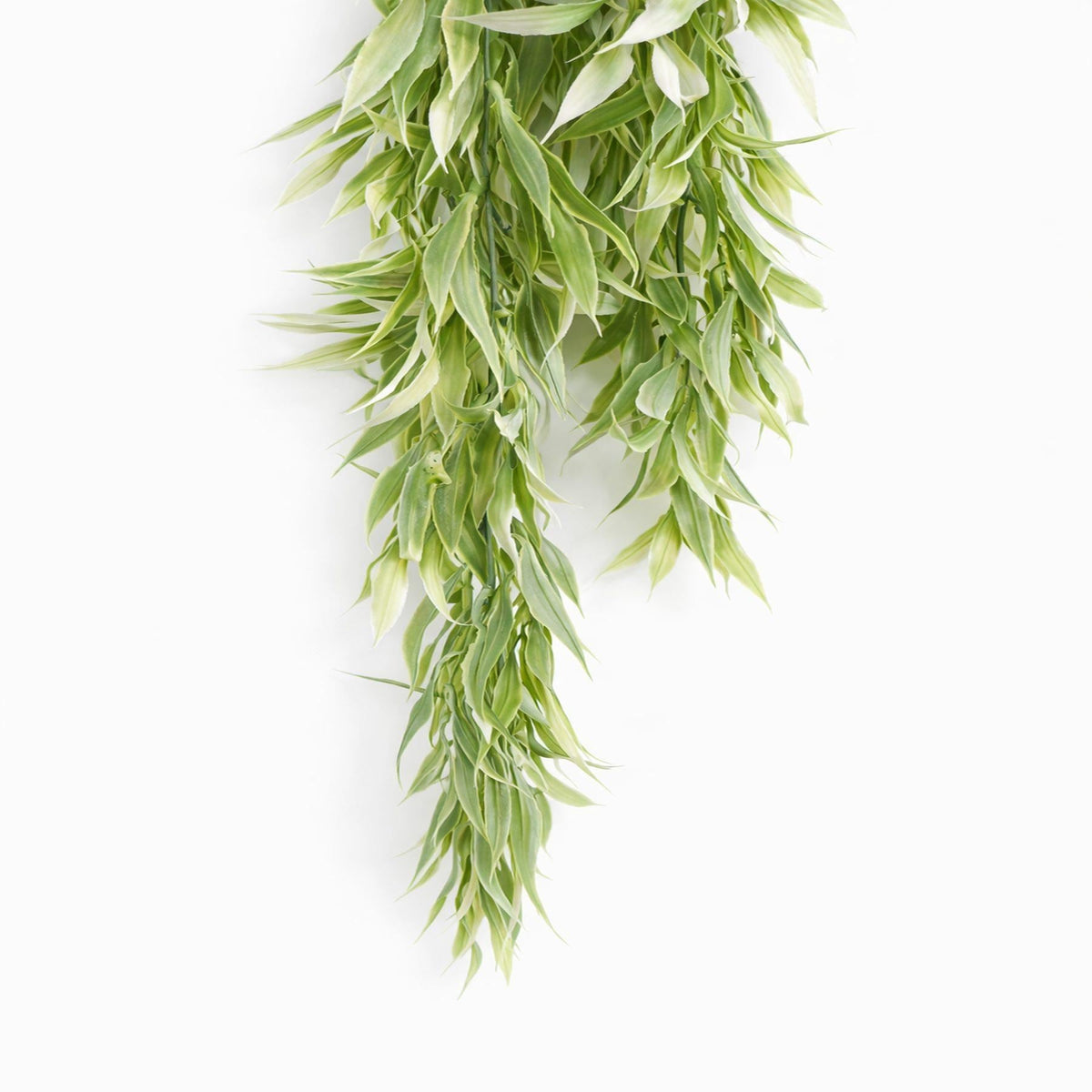 80cm Artificial Italian Ruscus Hanging Plant with Realistic Foliage - Light Green – image 9
