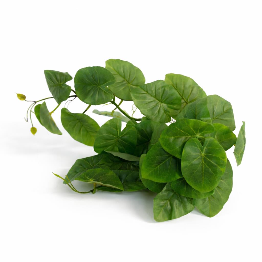 25cm Artificial Trailing Arrowhead Vine Plant – image 3