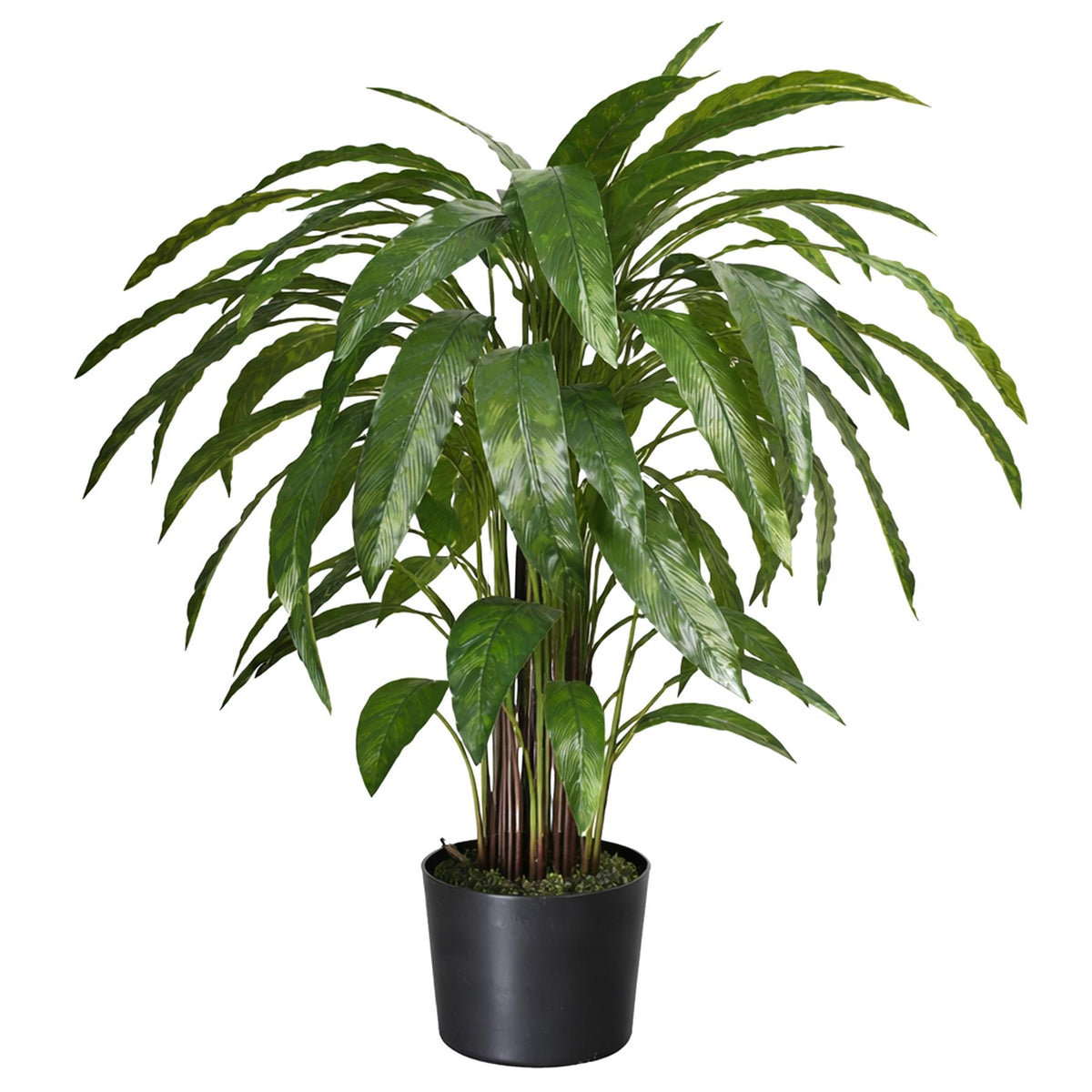 90cm Artificial Calathea Evergreen Plant
