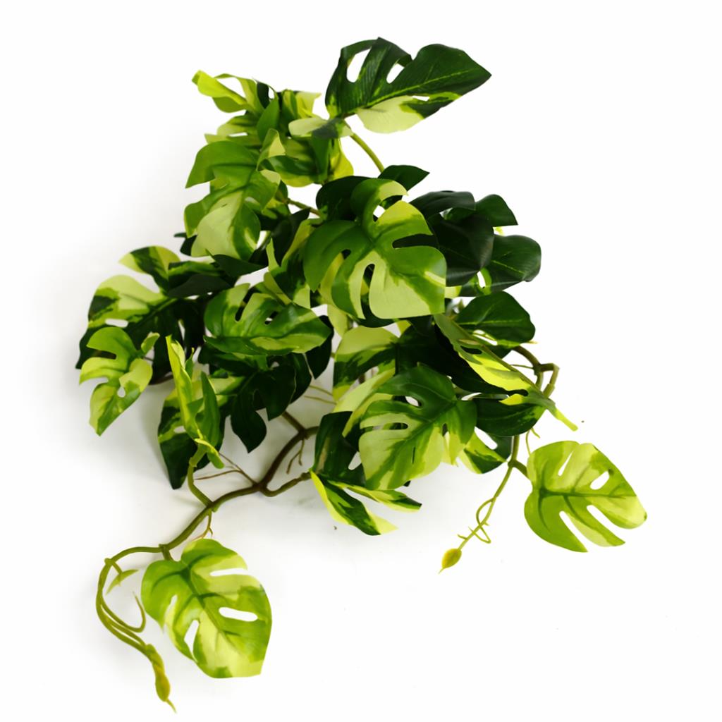 25cm Artificial Trailing Variegated Monstera Vine Plant – image 4